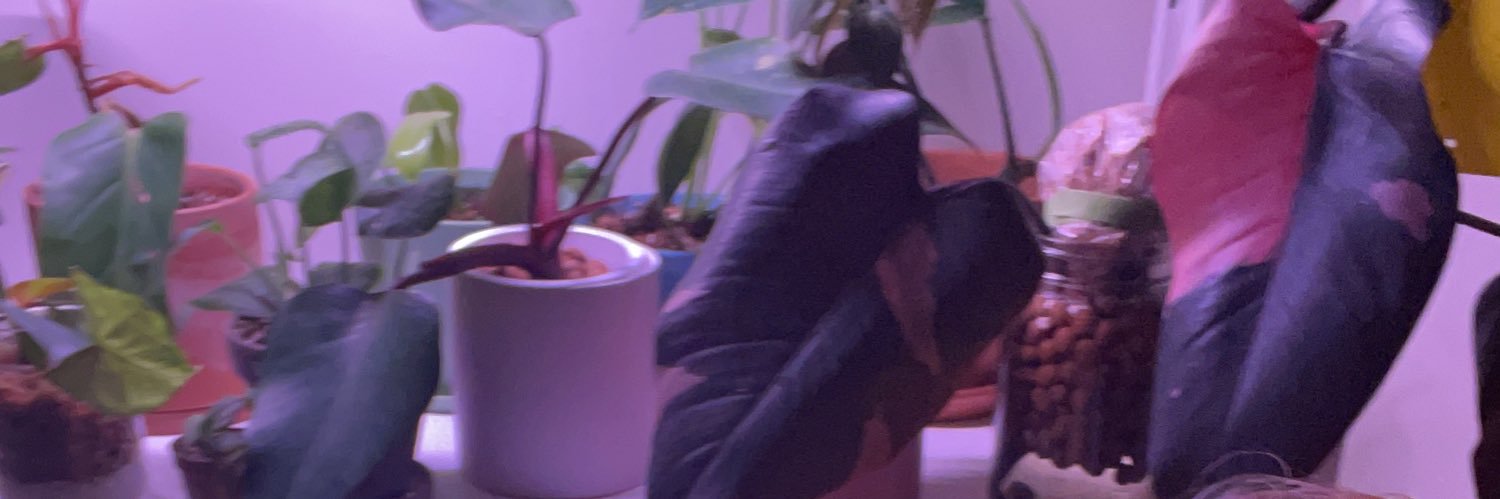 Joshiecan_'s profile banner image