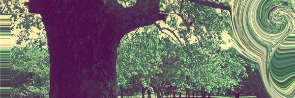 MadoEpi Profile Banner