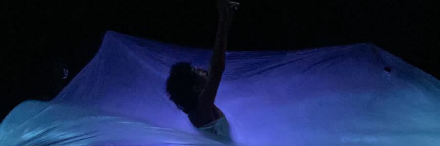 bruuribeb's profile banner image