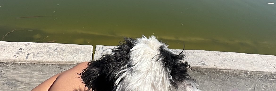 Roberto Calamari. banner