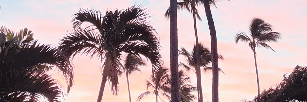 wuttheshel's profile banner image