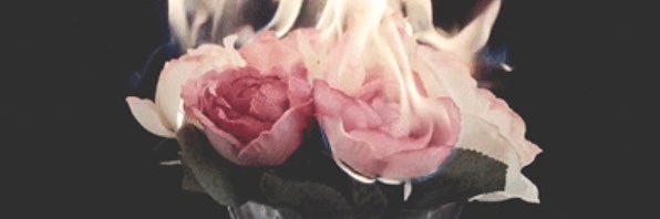 Luisa banner