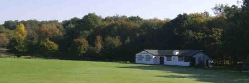 brookwealdcc's profile banner image