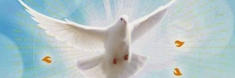 lovydr's profile banner image