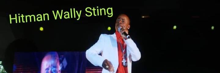 Hitman Walle fan page banner