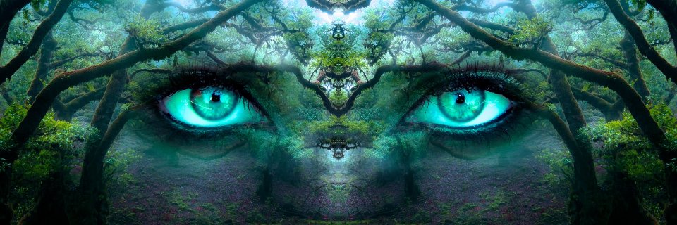ViLilyBooks's profile banner image