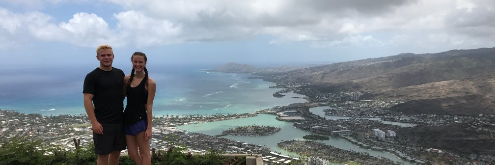 Alice Hickman banner