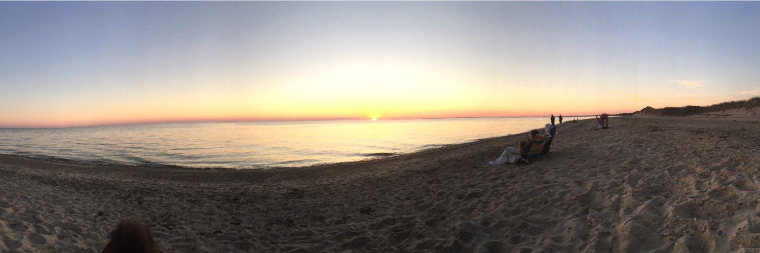 Sheila Rinaldi banner