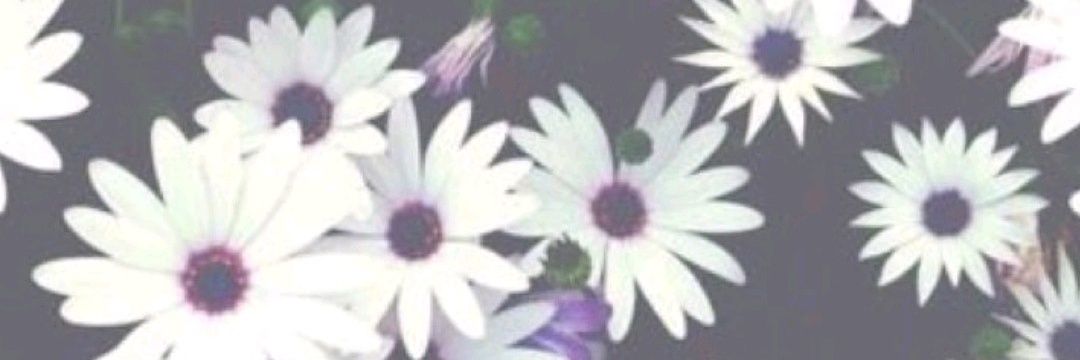 martap96's profile banner image