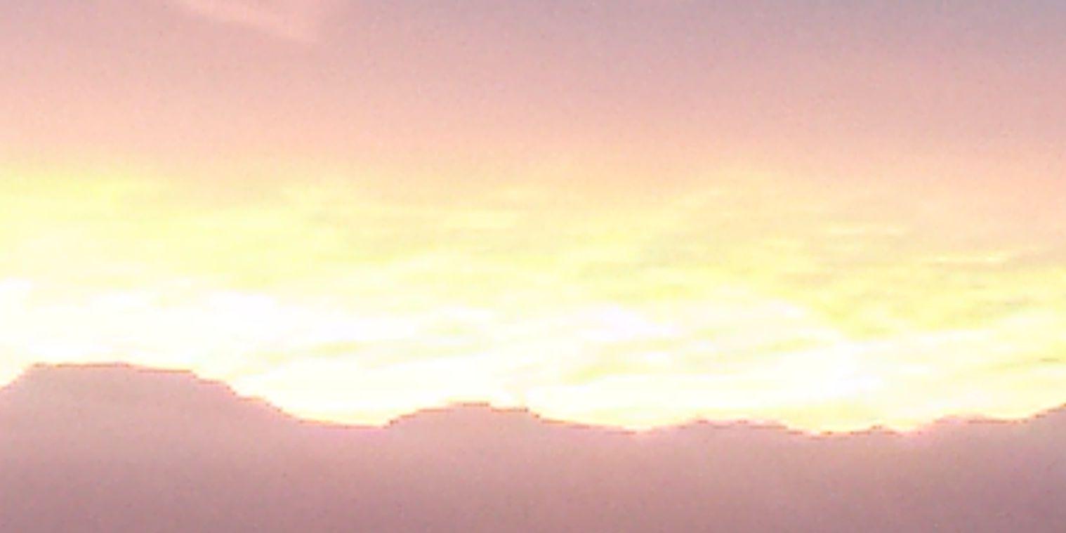thecanecri's profile banner image