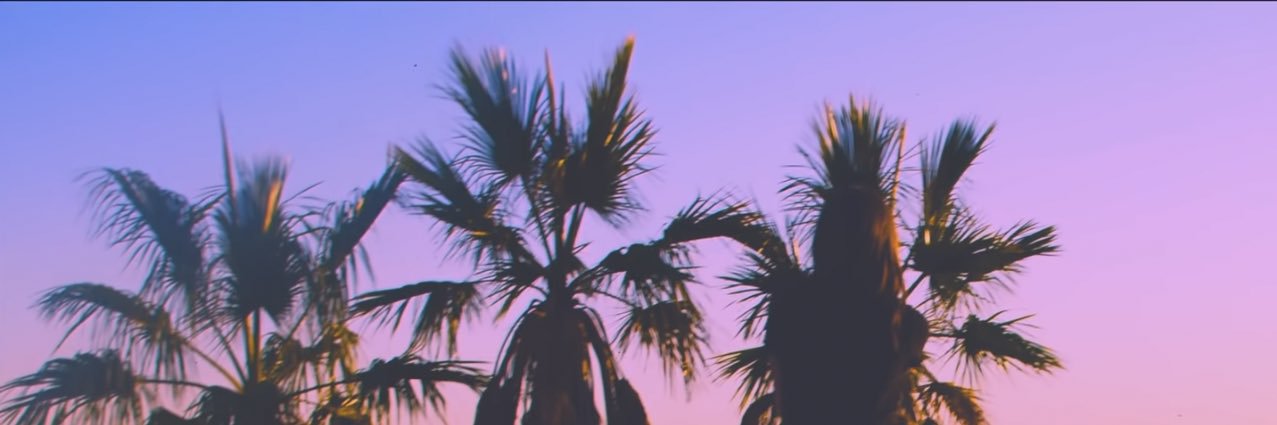 haileefeldstein's profile banner image