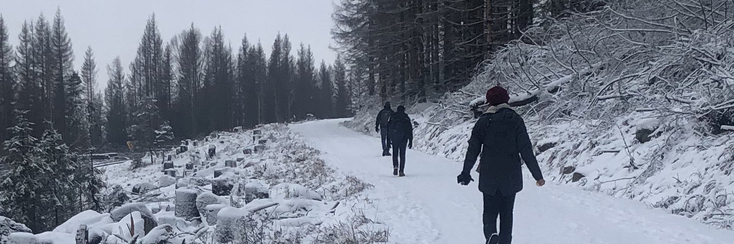 marceloruedam's profile banner image