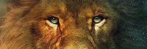 Mokoyambokoyo banner