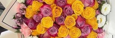 feda_zafer's profile banner image