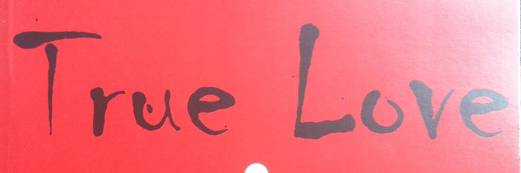 LadyLeeAndrews's profile banner image