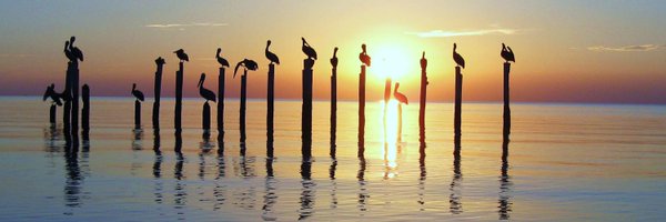 USFWSNews Profile Banner