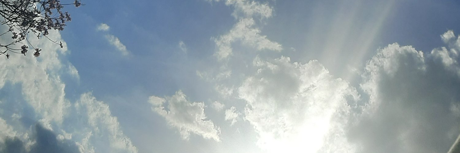 Loavietta's profile banner image