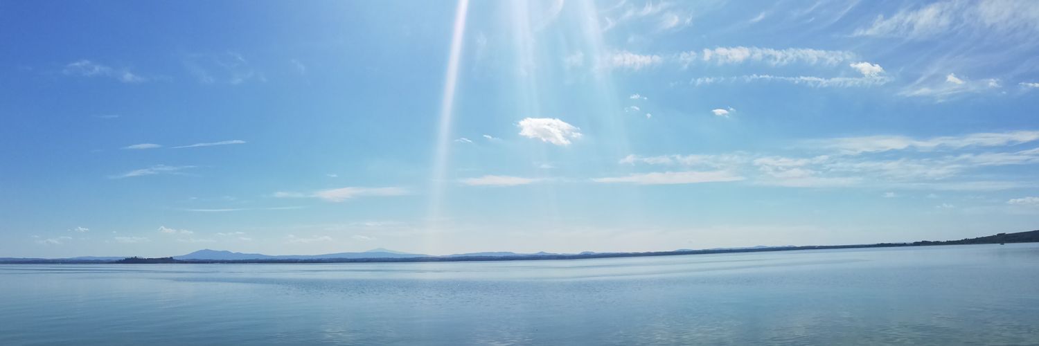 Micaela Castro banner