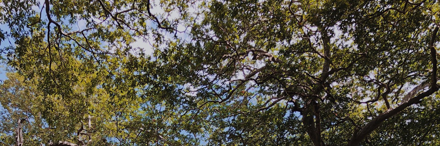 Minaleemad's profile banner image