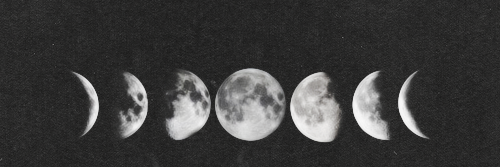 bichim24's profile banner image