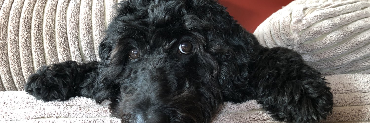 Bert van Breda banner