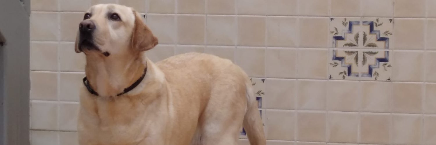 AprendizIncansable banner