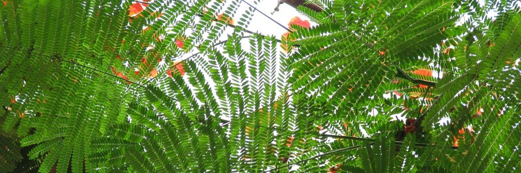 pilardecaro's profile banner image