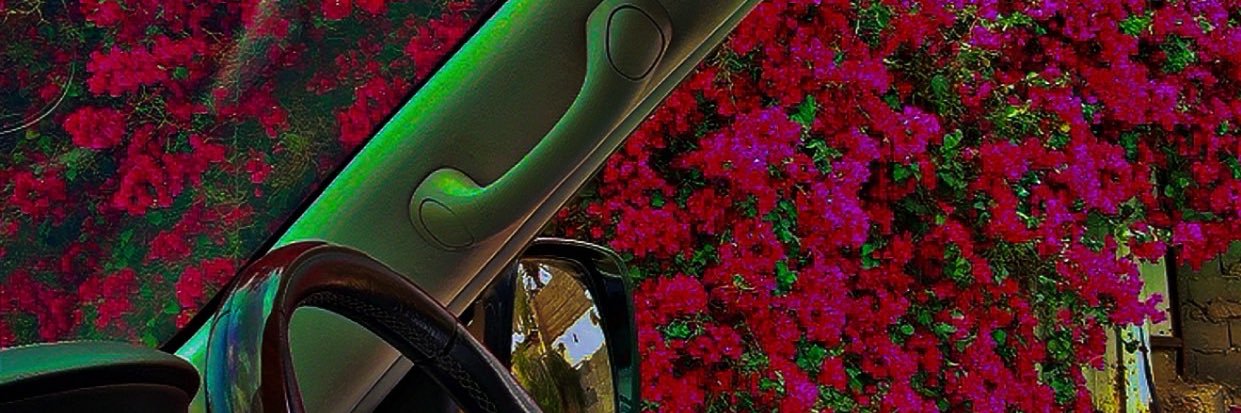 أحــمــد banner