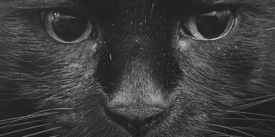 ane_ae's profile banner image