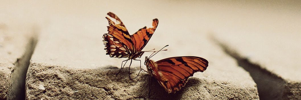 hanan_a10's profile banner image