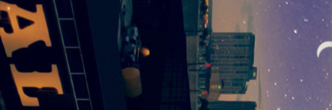 tillbrandonends's profile banner image