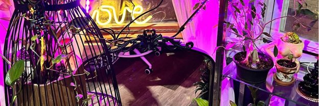 ARodshome's profile banner image