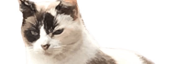 ░L░u░f░e░g░a░2░5░ banner
