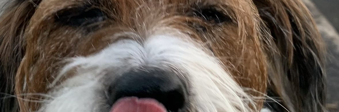Peezy_Boi's profile banner image