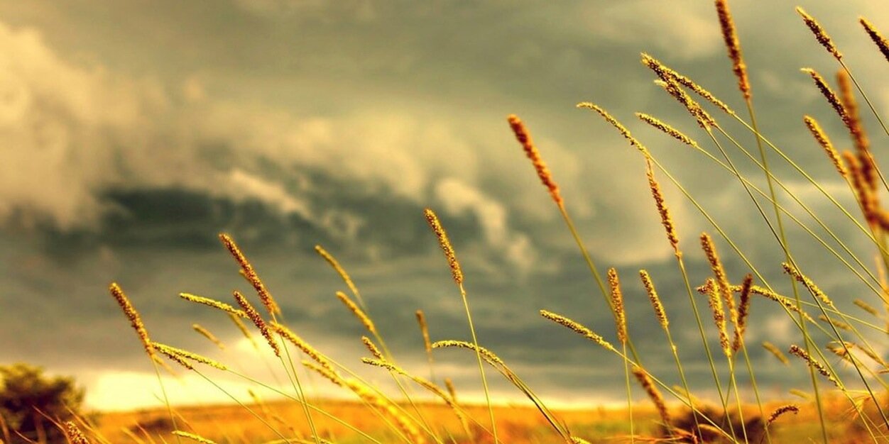 AgroRegional's profile banner image