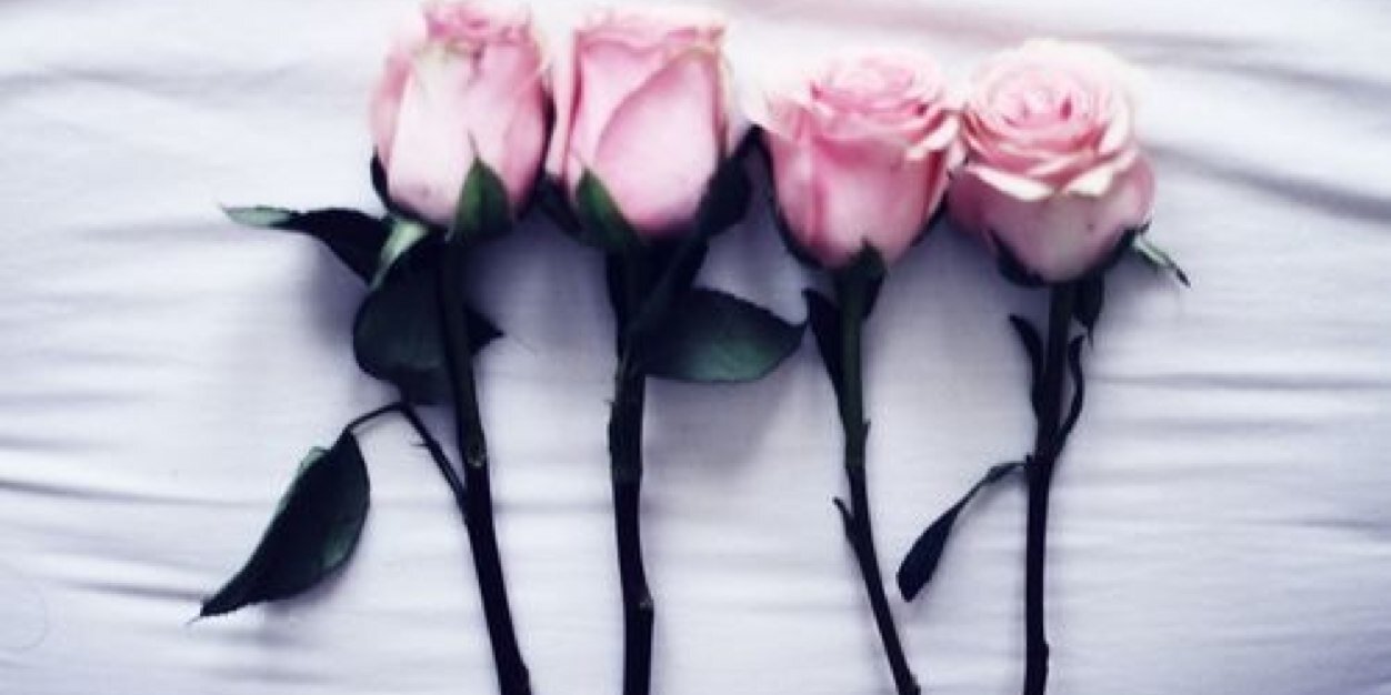 SarahLancyta's profile banner image