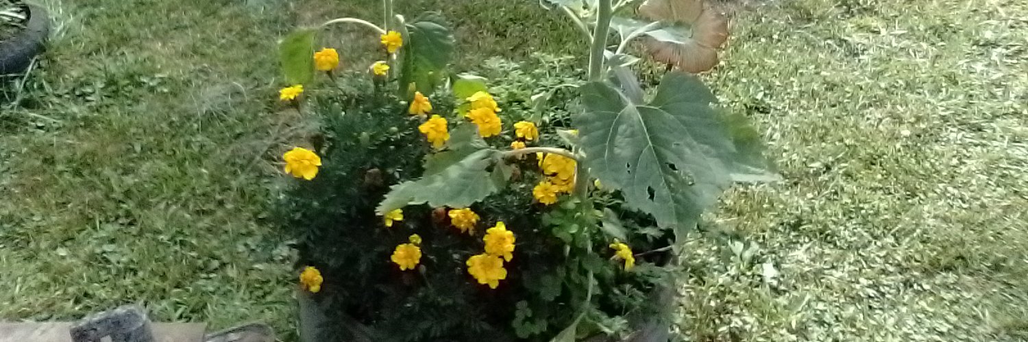 Travis B. Moore banner