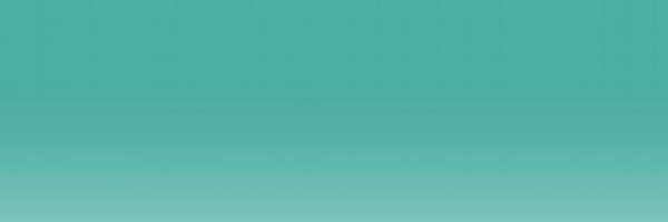 lenscratch Profile Banner