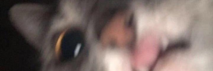 JoaaoMarcel's profile banner image