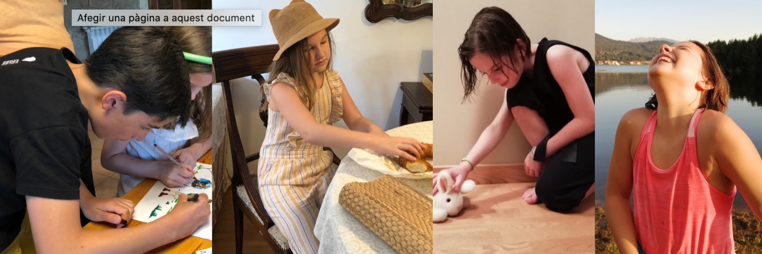 Àngels Folch banner