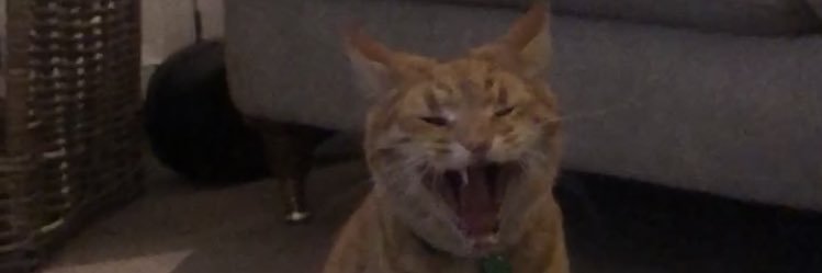 Ellena Fallows banner