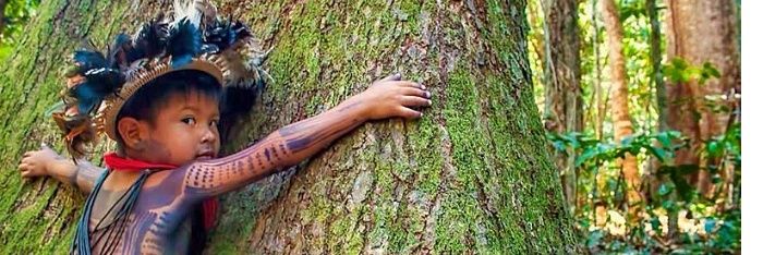 Célia Lima 🚩🚩❤👊 banner