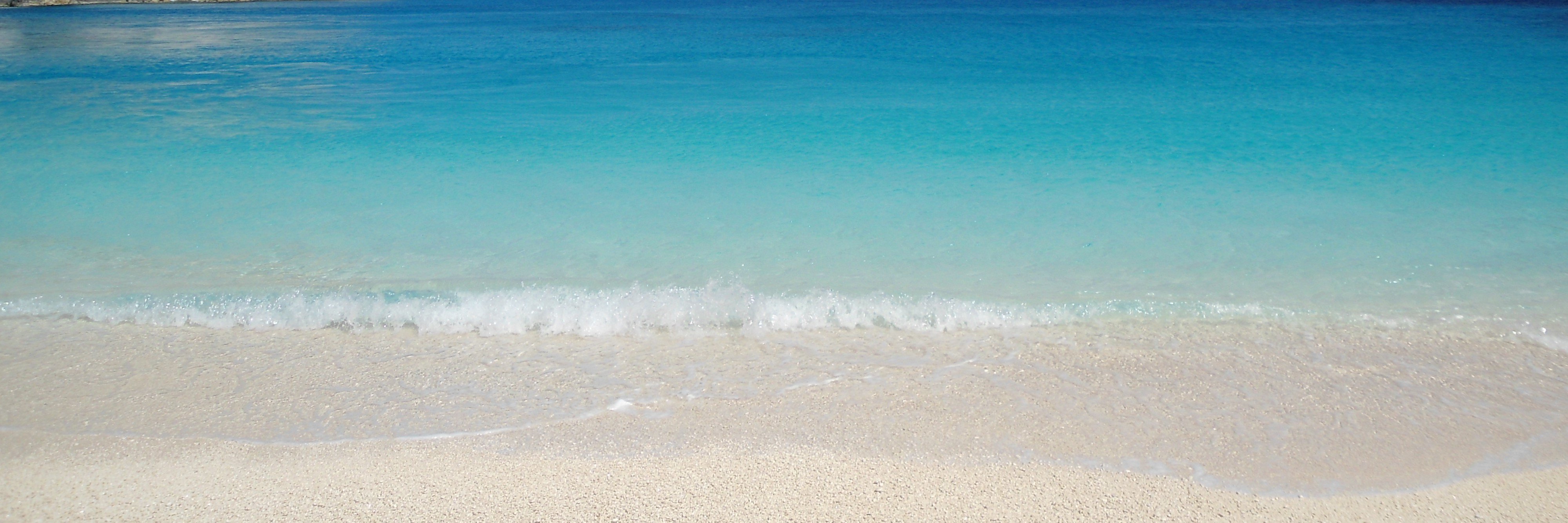 Tony_OCall's profile banner image