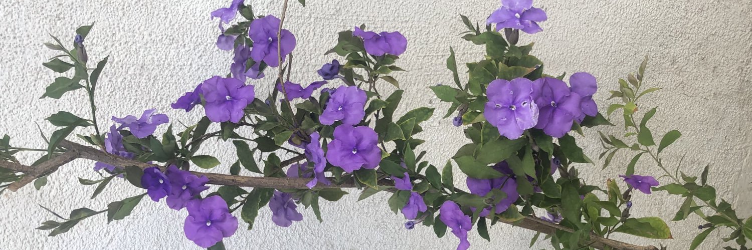 smilingchelly's profile banner image