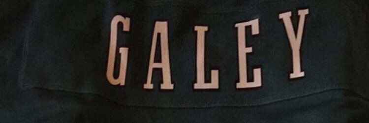 WackyGaley's profile banner image