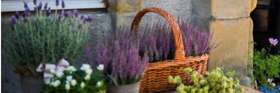 LW_Flowers's profile banner image