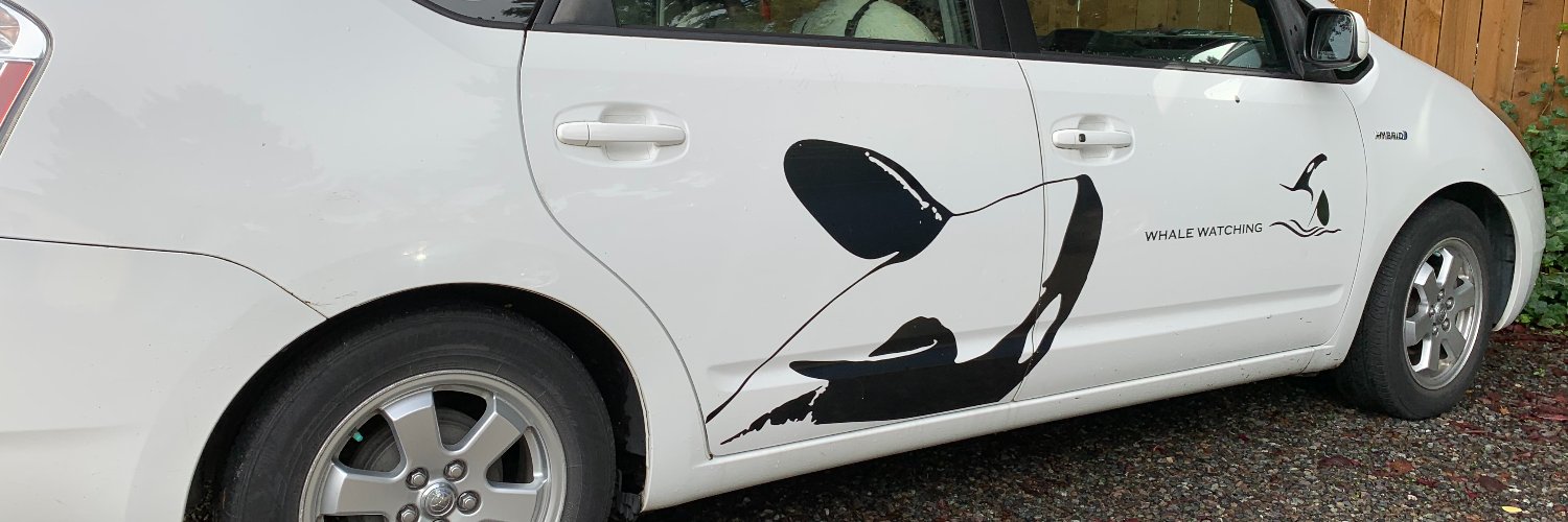 Local Local Seattle banner