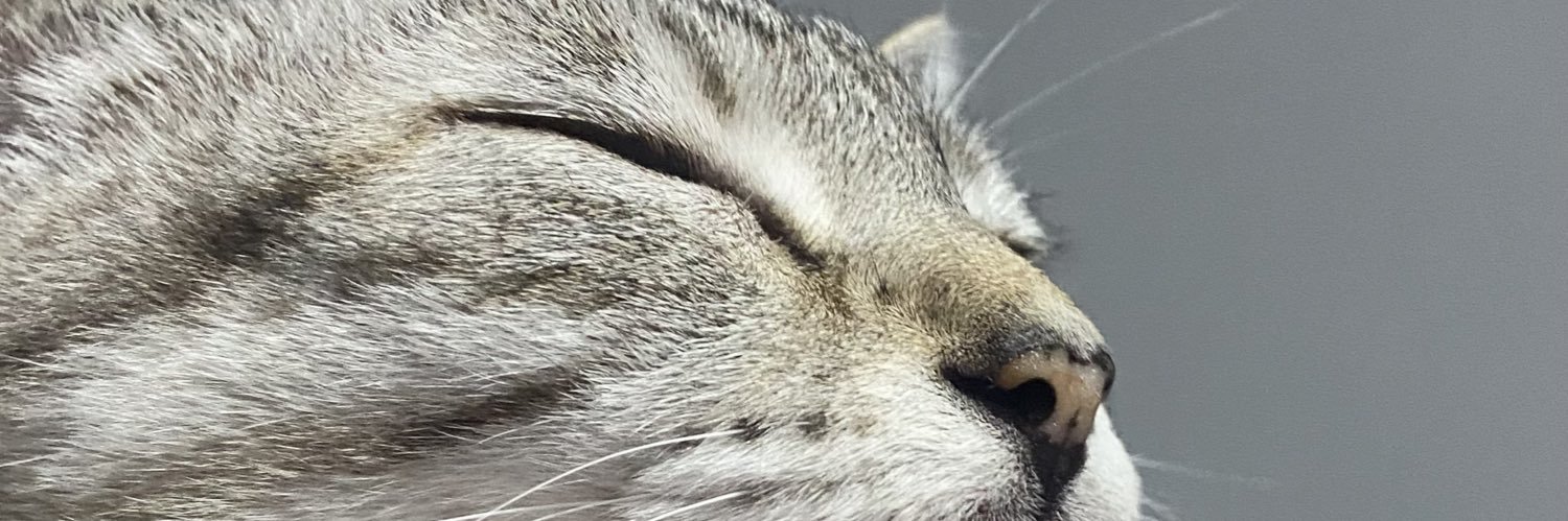 souleex's profile banner image