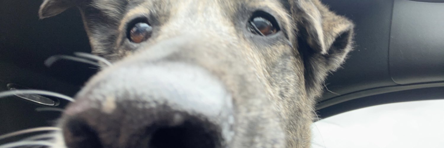 destiny_baker's profile banner image
