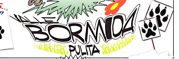 monicammocca's profile banner image